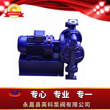 浙江溫州永嘉（jiā）甌北襯氟電動隔膜泵廠家
